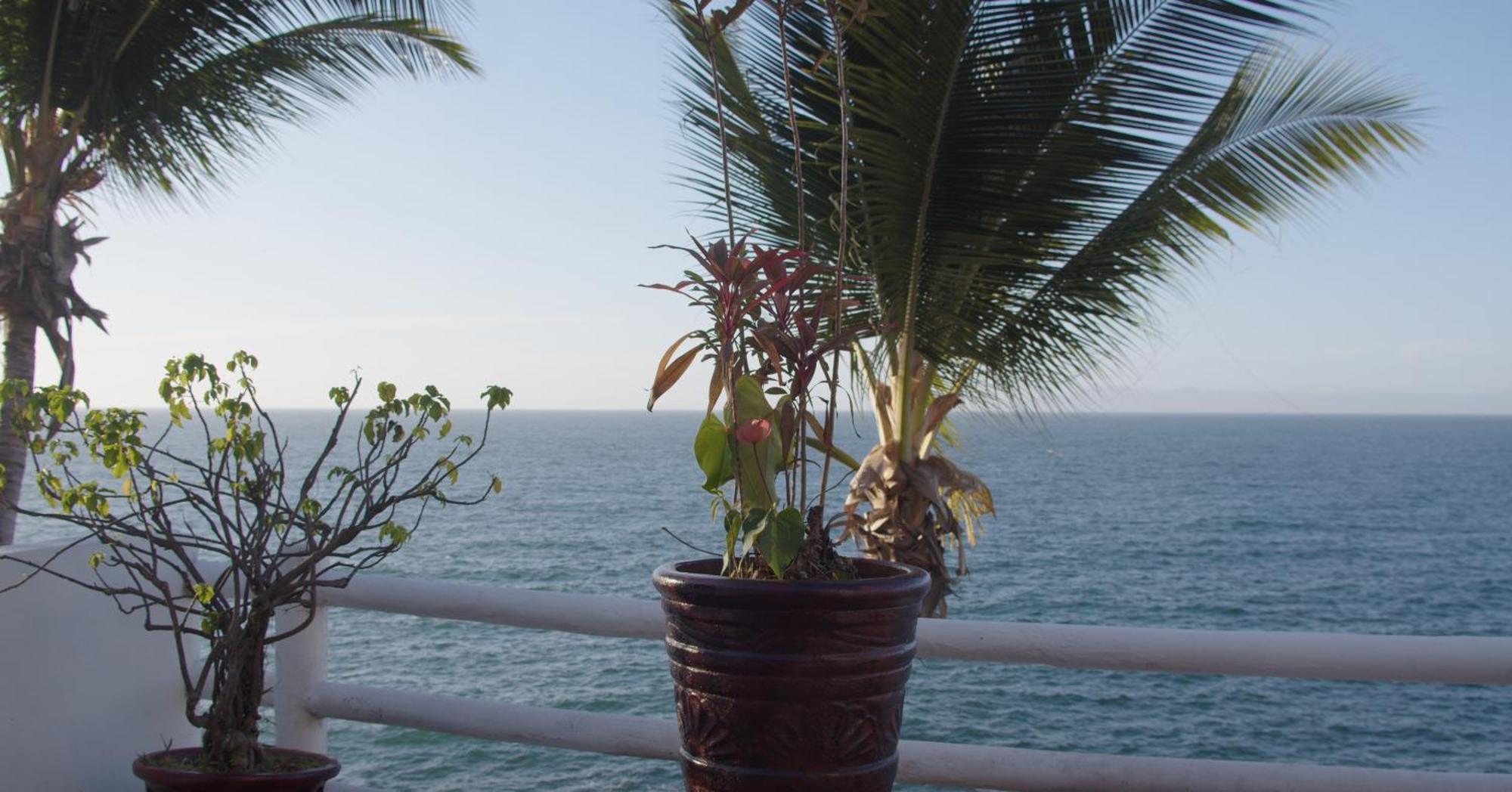 Traditional Sierra Leon Oceanfront Rooms - Adults Only Puerto Vallarta Exteriör bild